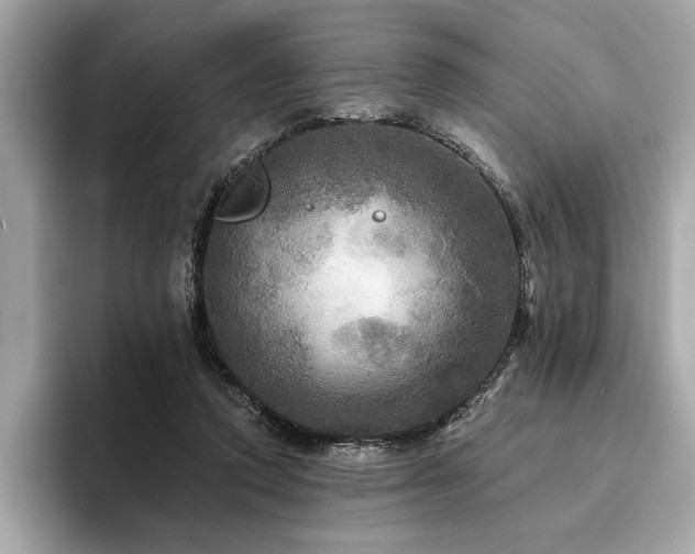 X0000093740354200710161143