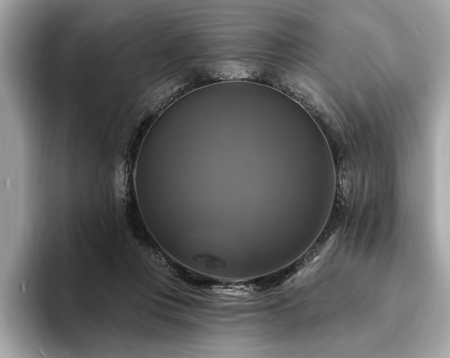 X0000093740359200710161143