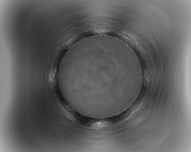 X0000093740364200710161143