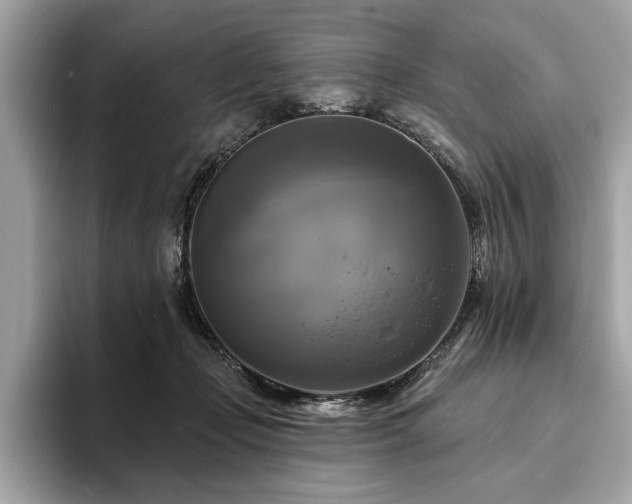 X0000093740365200710161143