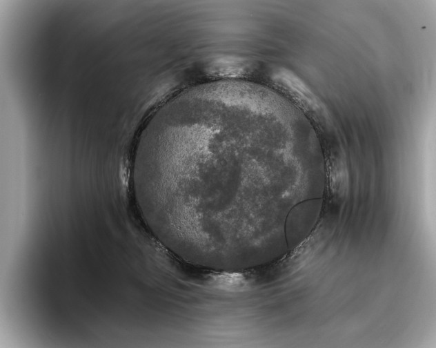 X0000093740374200710161143
