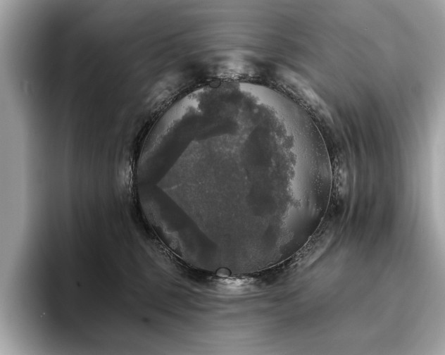 X0000093740375200710161143