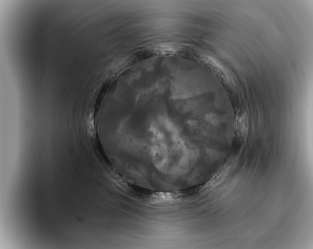 X0000093740381200710161143