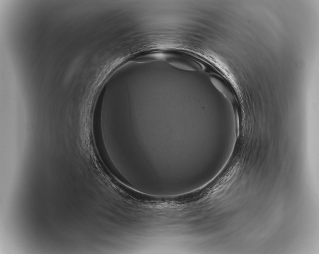 X0000093740385200710161143