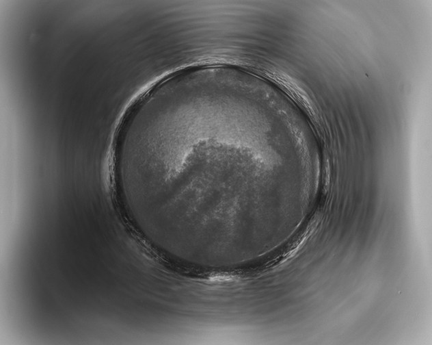 X0000093740388200710161143