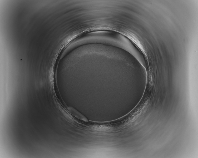 X0000093740389200710161143