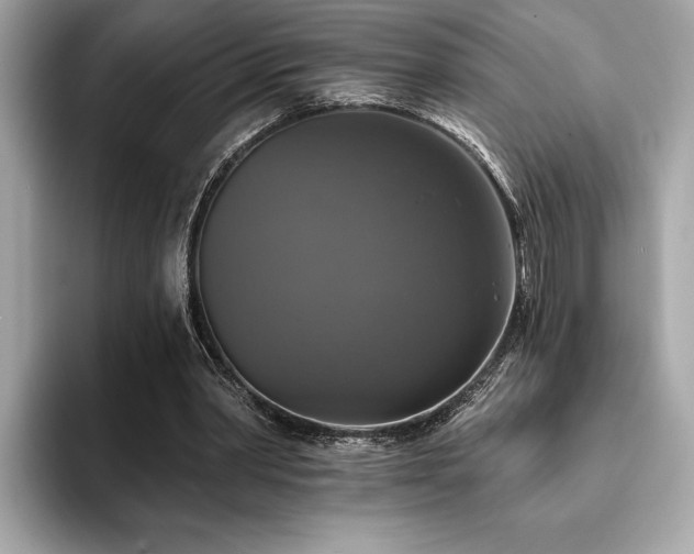 X0000093740390200710161143