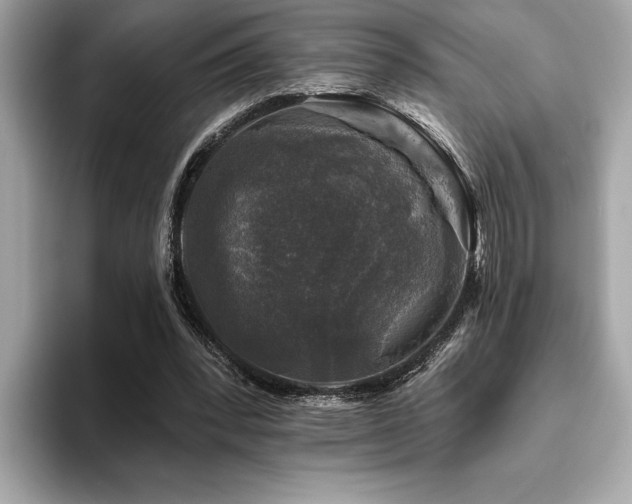 X0000093740392200710161143