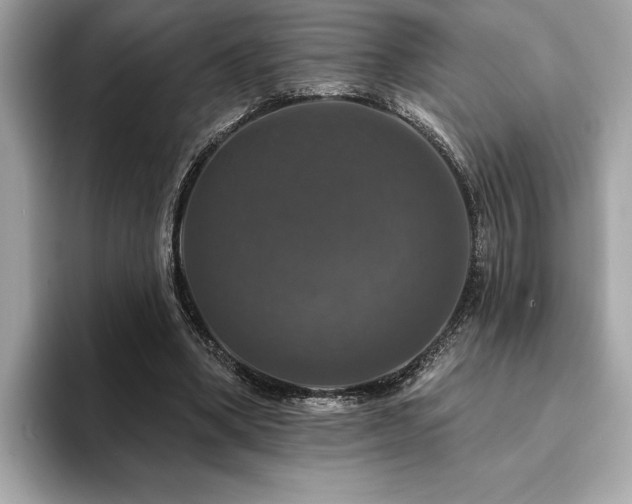 X0000093740394200710161143