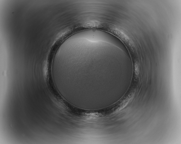 X0000093740396200710161143
