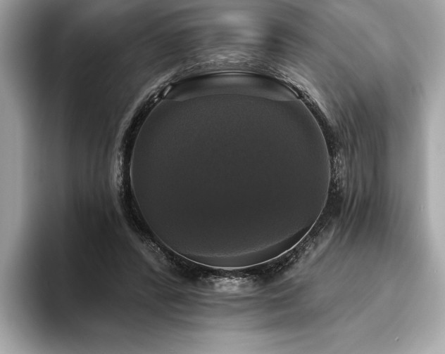X0000093740400200710161143