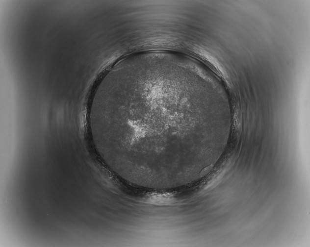 X0000093740403200710161143