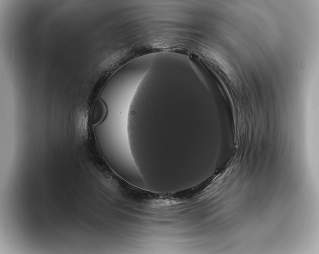 X0000093740404200710161143