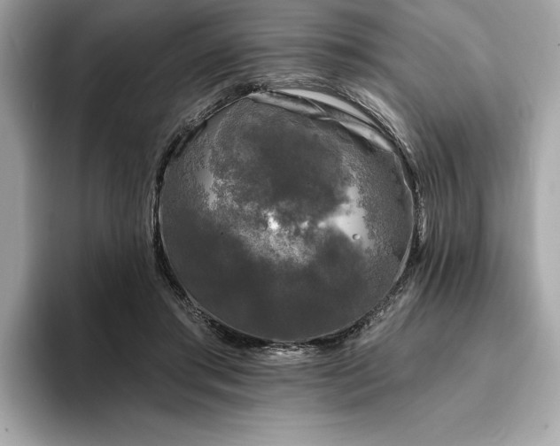 X0000093740405200710161143