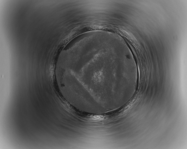 X0000093740409200710161142