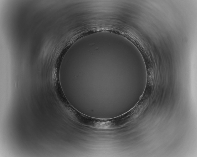X0000093740410200710161142