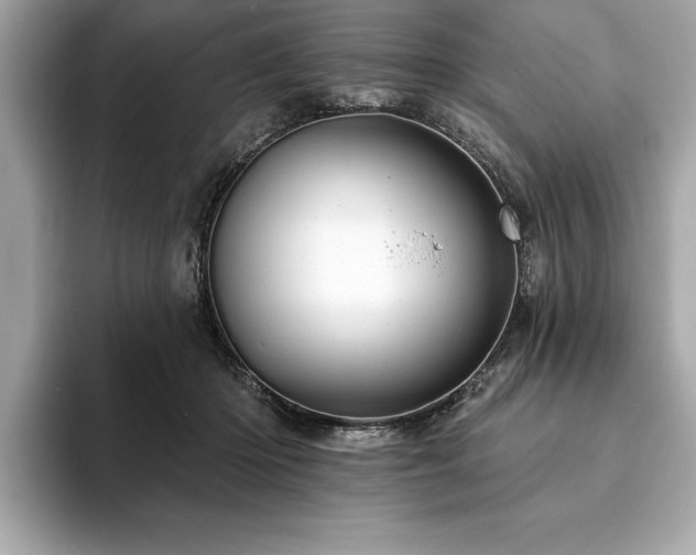 X0000093740414200710161142