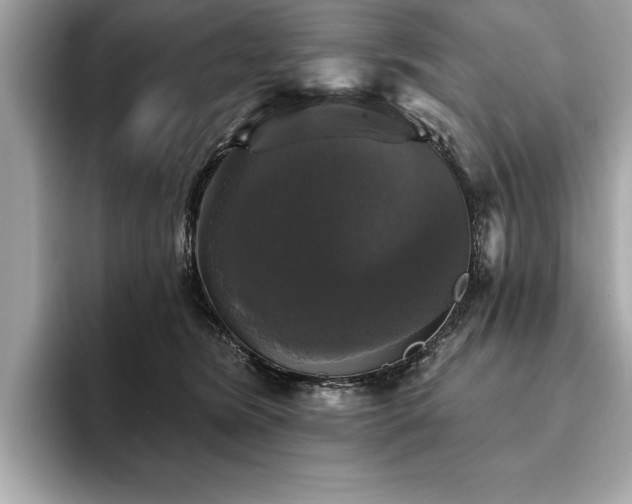 X0000093740420200710161142