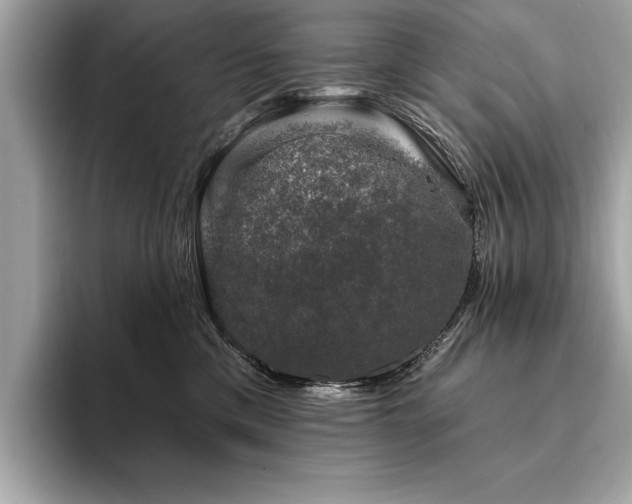 X0000093740425200710161142