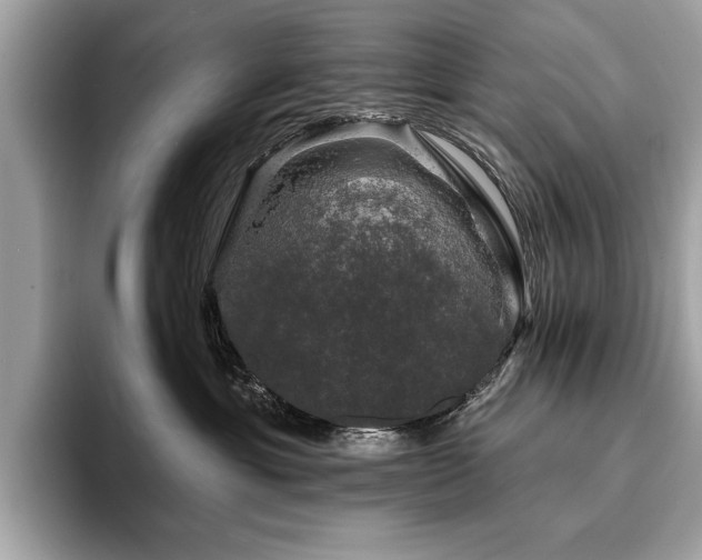 X0000093740429200710161142