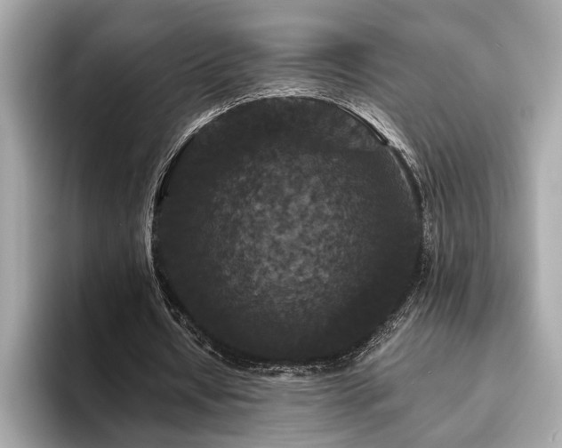 X0000093740434200710161141