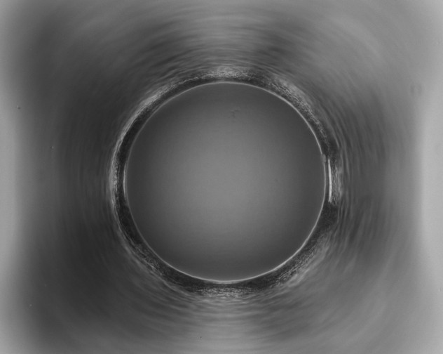 X0000093740435200710161141