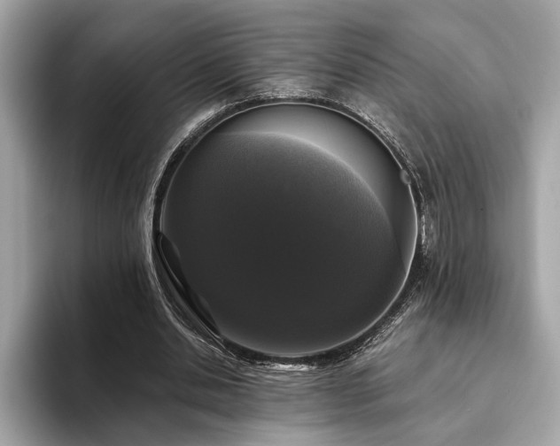 X0000093740438200710161142