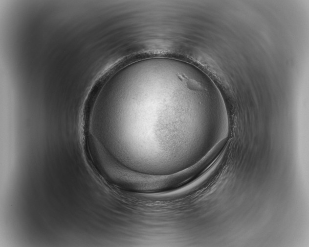 X0000093740440200710161142