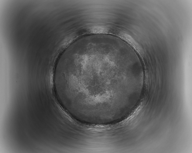 X0000093740441200710161142