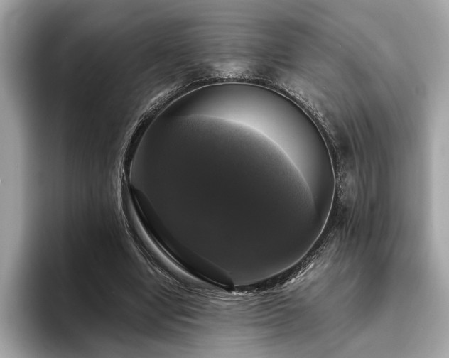 X0000093740442200710161142