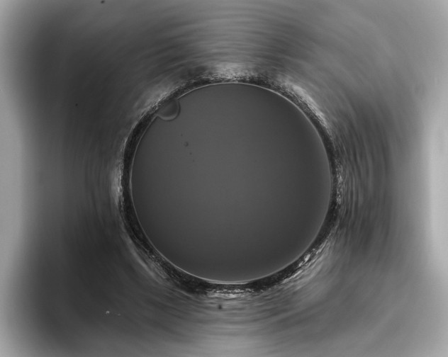X0000093740443200710161142
