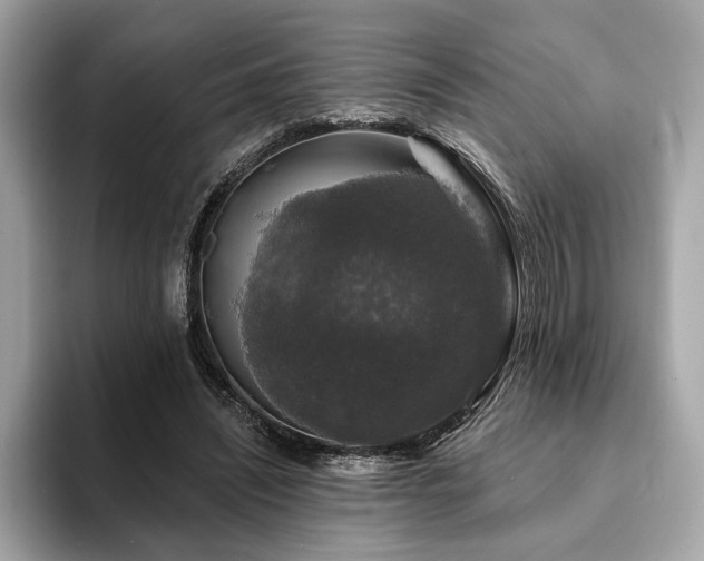 X0000093740444200710161142