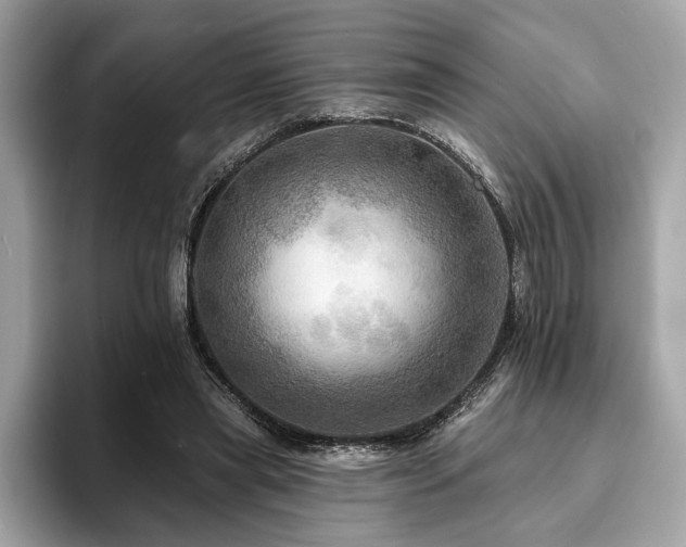 X0000093740445200710161142