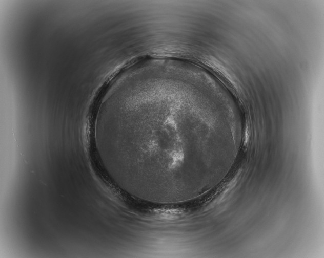 X0000093740448200710161142