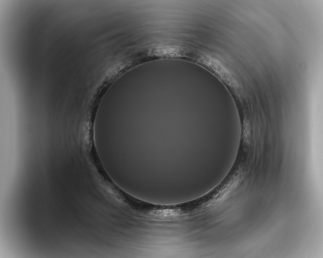 X0000093740449200710161142