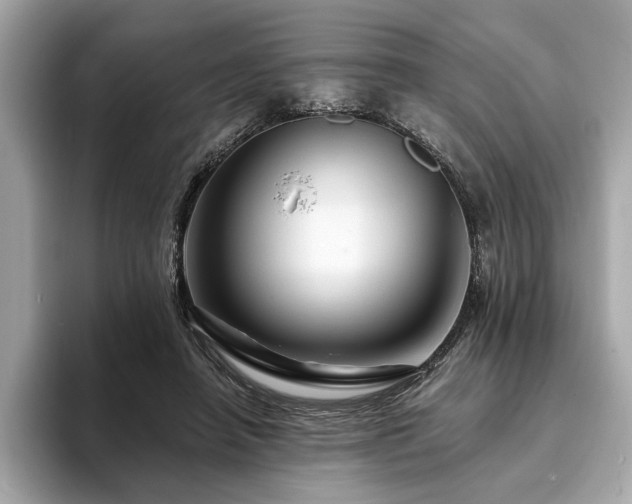 X0000093740450200710161142