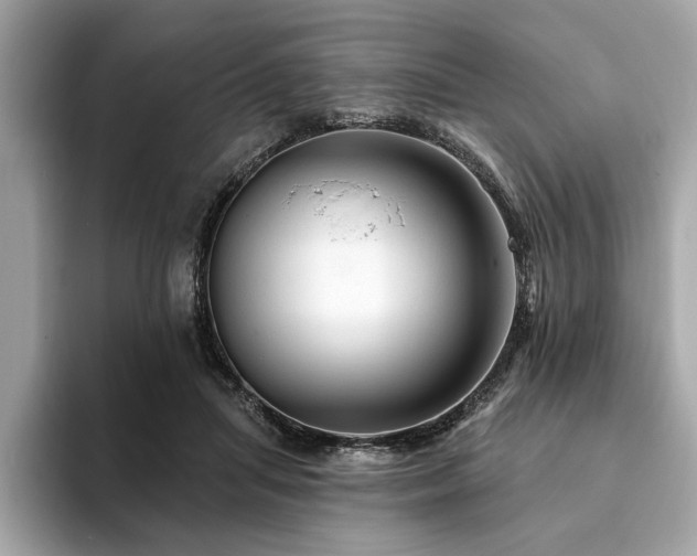 X0000093740455200710161142
