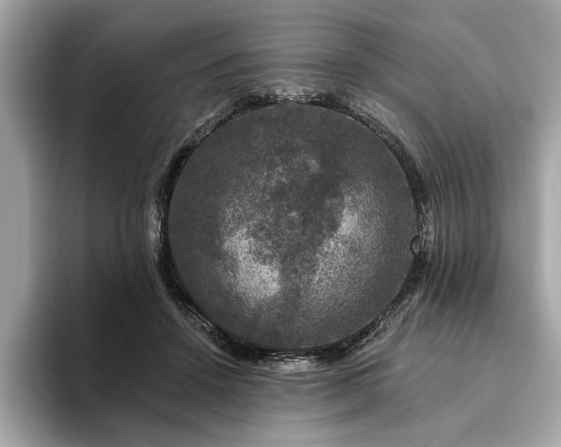 X0000093740456200710161142