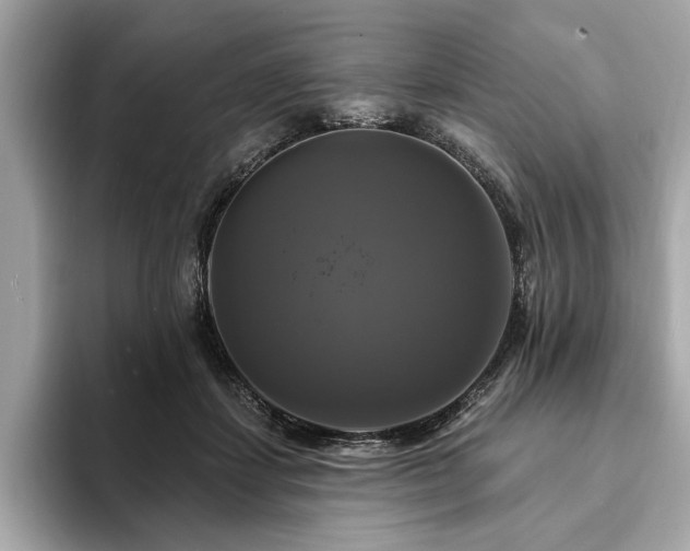 X0000093740459200710161142