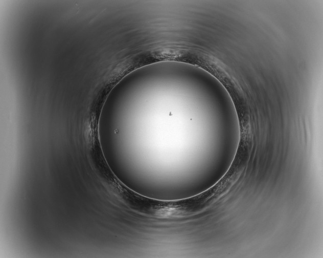 X0000093740460200710161142