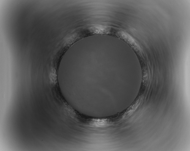 X0000093740469200710161142