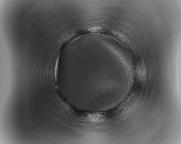 X0000093740470200710161142