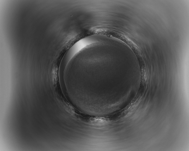 X0000093740475200710161142