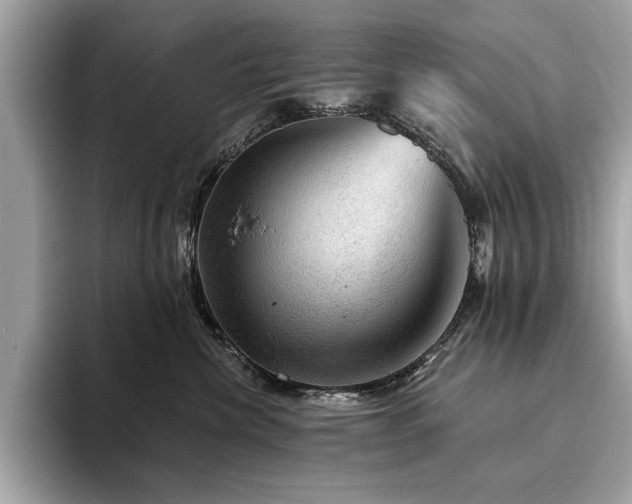X0000093740476200710161142