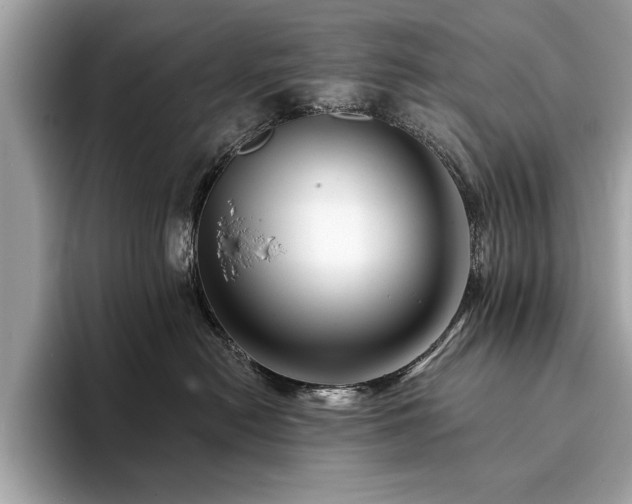 X0000093740478200710161142