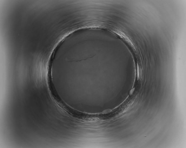 X0000093740483200710161141