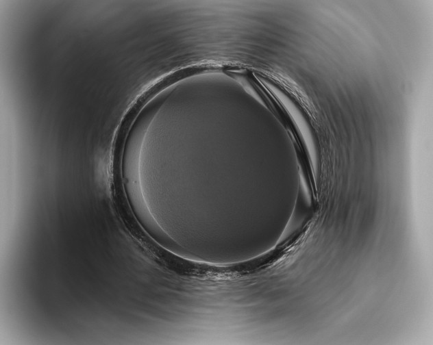 X0000093740484200710161141