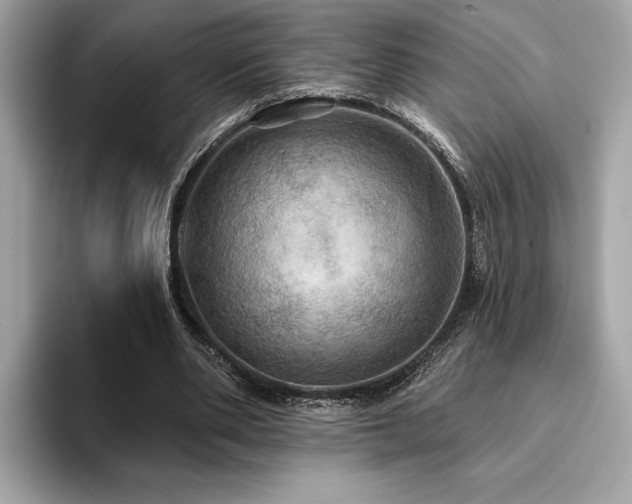 X0000093740486200710161141