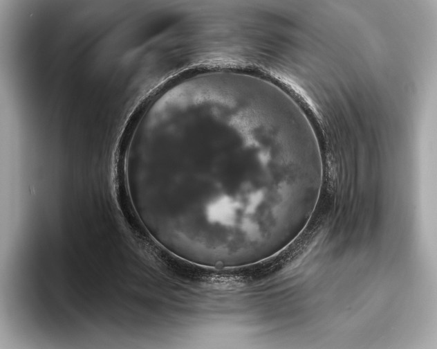 X0000093740487200710161141