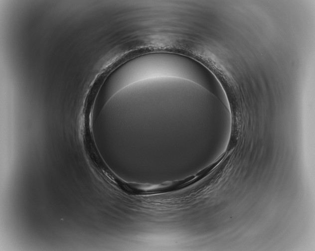 X0000093740488200710161141